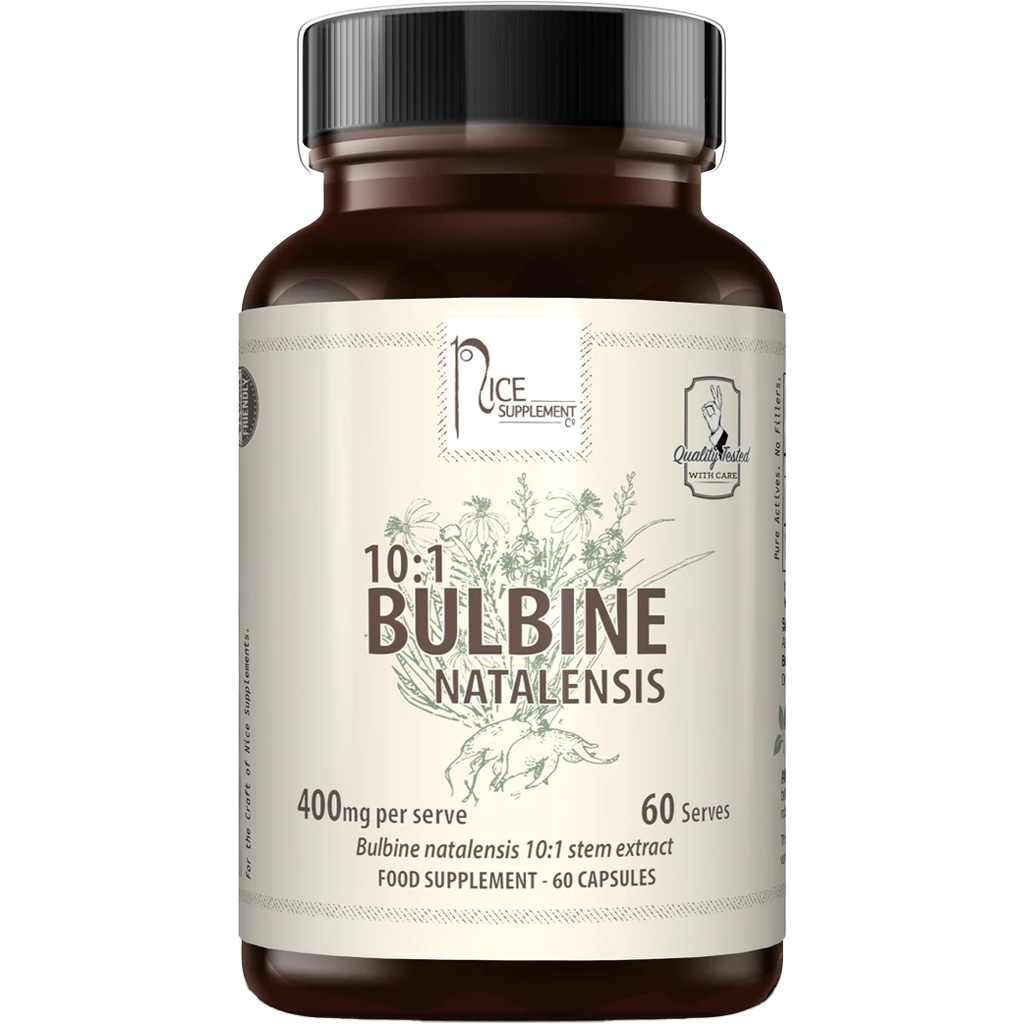 Bulbine Natalensis (Nice Supps)